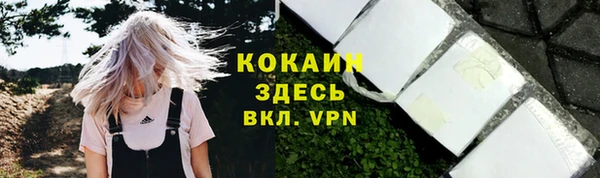 бошки Аркадак