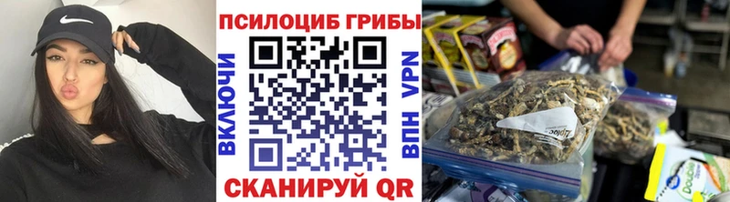 Псилоцибиновые грибы Psilocybe Салехард