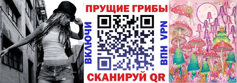 Галлюциногенные грибы GOLDEN TEACHER Купить закладки Салехард